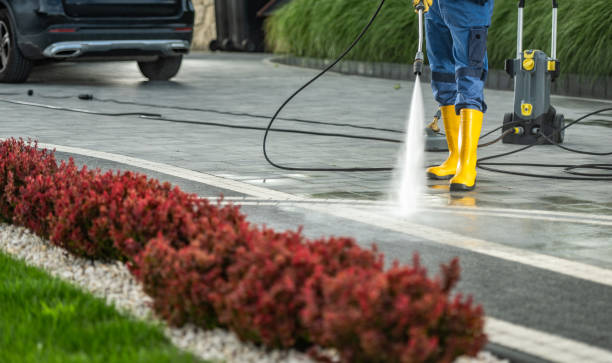 Best Driveway Pressure Washing  in Columbus, MN